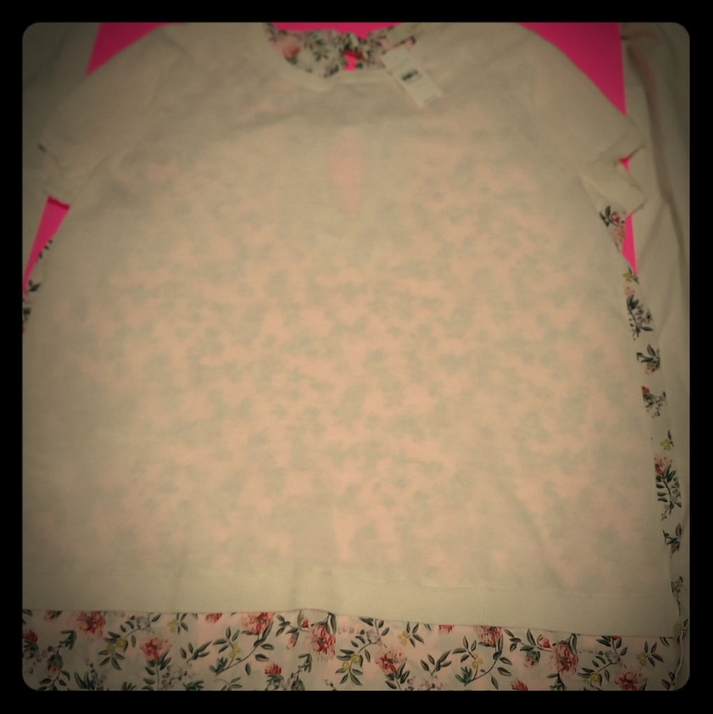 Brand new loft blouse